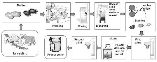 peanut butter production process