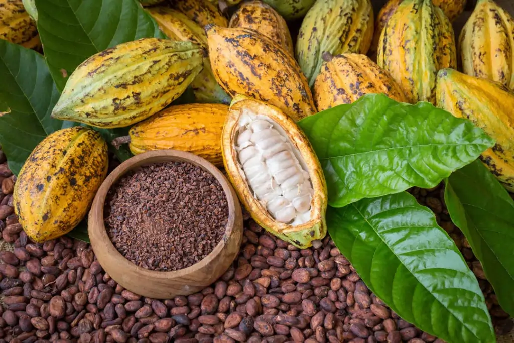 nacional cocoa