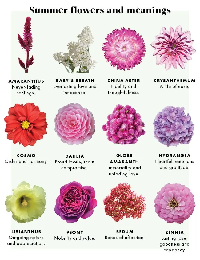 Summer Flowers types