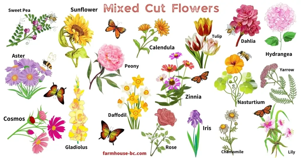 Types of Cut Flowers