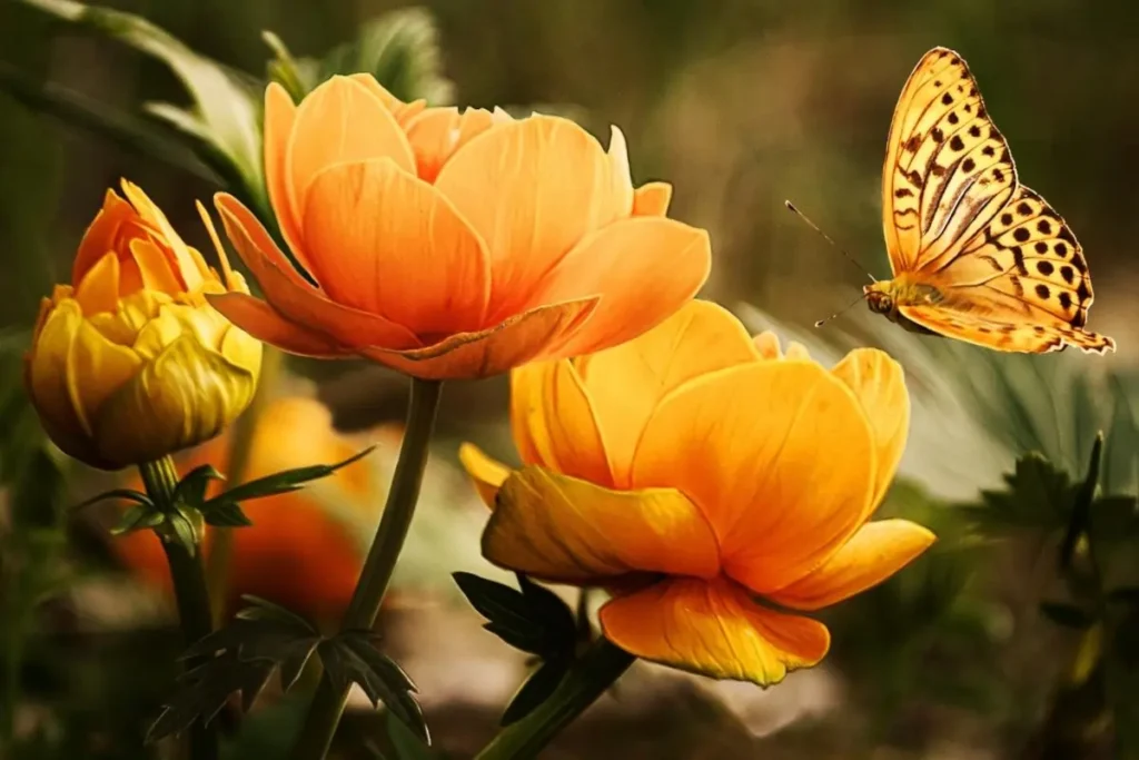 orange type flowers